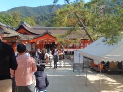 さらに列があると思ったら、拝観料３００円のチケットの列。
ここの神社は有料です。これもおどろき。
できればここも、ICで、ピッとできたらいいのに。