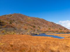 峠から戻り散策を続けます

湿原中を歩くのがとても気持ち良いです
「小尾瀬」と呼ばれているそうで
確かに手軽に楽しめる尾瀬って感じでした

風が吹くと草原がサラサラ~と波打って
それもとてもきれい
