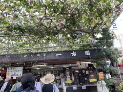 さて、葡萄園にやって来ました。今日のメインのシャインマスカット食べ放題です。