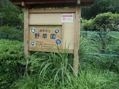 水生植物園の東、中央自動車道をくぐった先に野草園があります。
野草園は深大寺自然広場という、広い林と広場のあるエリアの一角にあります。

