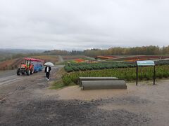 旭川でレンタカーを借りて向かったのが美瑛町の四季彩の丘。代表的な花園で中国人らしい外国人観光客が団体で訪れていた。ただ小雨で寒かったので園内巡りはやめ、早々に引き上げた。やはり、快晴の夏に訪れるべき所だろう。