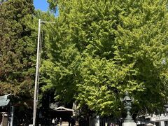 今回唯一の観光したのが、熊野神社（熊野大社）へ。
東北の伊勢と呼ばれているそうです。
大きい木が！！（イチョウですか？）長い年月を感じます。
紅葉がまだ進んでいないので、葉が青々としていました。

