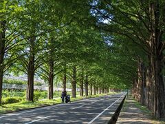 高島市農業公園マキノピックランドに車を停めちょっぴり歩くと・・・