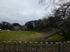 小田原城址公園に入りました。