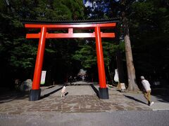 色鮮やかな鳥居、観光日和