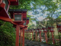 青紅葉が美しい
人が映らないようタイミング見て写真撮影
とんでもなく混んでました