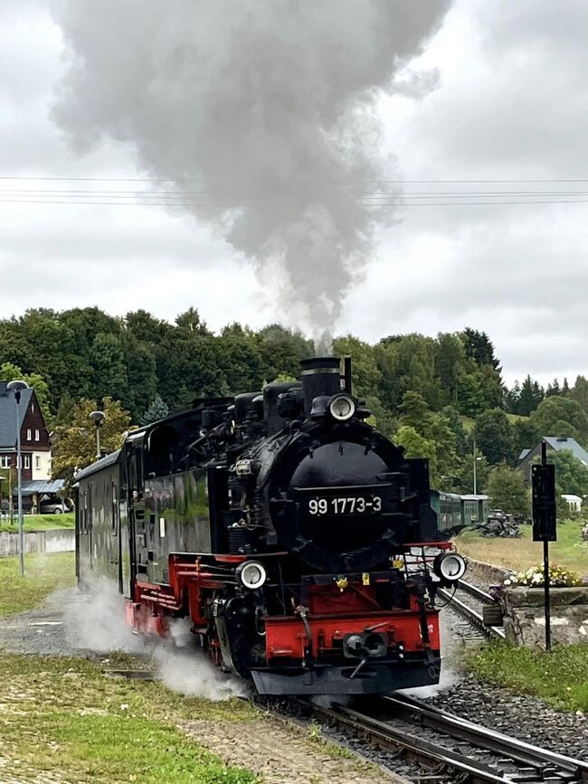 ドイツ東部保存鉄道を巡る・17日の旅 ⑦フィヒテルベルク鉄道