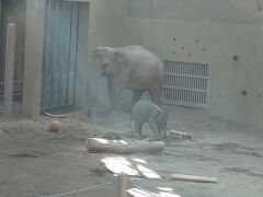 円山動物園