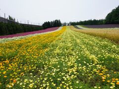 ファーム富田は広い