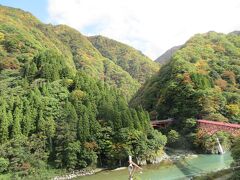 記録的な暑さだったせいか、紅葉の色づきは遅れているように感じました。