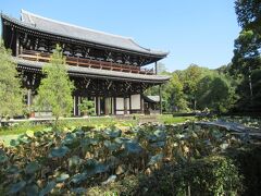 九条通から先には広ーい「東福寺」が西側にあります。ちょっと入って見ました。すばらしです。創建は嘉禎2年（1236）と言われ歴史ある寺で国内外の観光客で賑わっています。