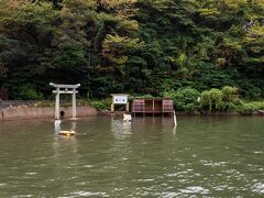 イカ寄せの浜