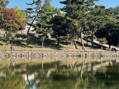猿沢池と興福寺　五重塔です