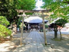 その滝野川公園の隣りにあるのが平塚神社です。
参道も長いし社殿も立派です。