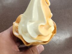 大観峰展望所でソフトクリーム