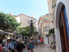 簡単な説明を受けて自由散策になりました。