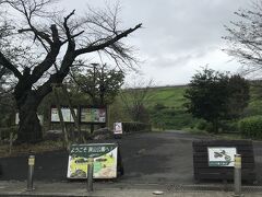 多摩湖です。
志村けんさんが昔歌っていた東村山音頭に庭先ゃ多摩湖という歌詞で出てくる大きな湖です。
水がめとのことで水もそれほど汚くはない感じでした。
堰堤側は金網があり湖のほとりには行けないようになっていました。