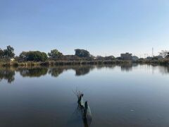 お寺の敷地の隣りの茂林寺沼
沼と湿原が、公園として整備されてます。