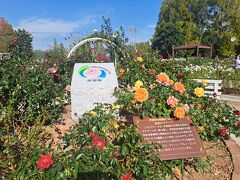 伊奈町バラ園（伊奈町制施行記念公園）