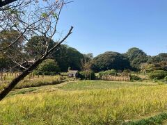 つつじが岡公園