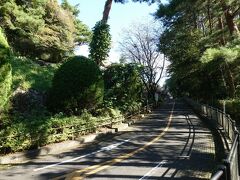 　車で約１０分、坂道をぐんぐん登り、八幡山公園にやって来ました。九州人としては「やはたやま」と読んでしまいたくなりますが、「はちまんやま」です。
　隣接して競輪場があり、そう言われてみると久留米の正源寺公園あたりに似た雰囲気があります。
