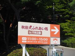 お昼を食べたら、急ぎ千秋公園の秋田犬ふれあい処に向かいます。こちらは5月～10月31日までで今年は終了してますが、SNSに今年度最終日と書いてあったので来年以降もあるのかな。