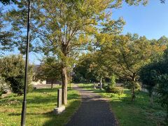 水城公園に来ました。
忍城の外堀の沼を利用して整備された公園