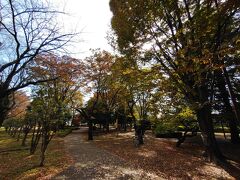 4番目のスポット　三鷹市立仙川平和公園。
平和の像、プラタナスの木、アンネ・フランクのバラなど、平和に関するモニュメントが点在。