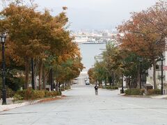 八幡坂
ハリストス正教会から函館港に向かってます
やっぱり木々が大きくなっている気がする
当たり前か!
