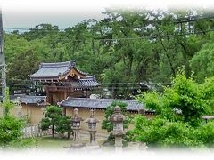 西宮神社南門の前に架かる歩道橋を渡り頭上の阪神高速をくぐり南下、最初の予定地「白鷹禄水苑」までは約15分で辿り着けます。