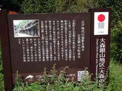 石見銀山公園に戻ってきました。
が、少しだけ大森地区の町並みを見に行きます。
国の重要伝統的建造物群保存地区に指定されている町です。