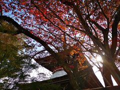 東南院