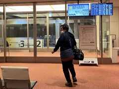 羽田で国際線第3ターミナルで飛行機を降りて
国内線乗り継ぎ保安検査場を通れるので　第2ターミナルの保安検査場の長い列に並ばずに済みます

初めての体験で、旦那さん喜んでます。