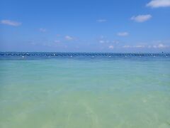 ホテル前はタイガービーチというらしいです（間違ってたらごめんなさい！）。キレイですが、たまたまなのか海藻がすごくて、私たちは海に入るのはパスしました。