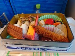 お弁当は東海道新幹線弁当。東京駅ホームの売店で購入。
なお、本日の指定席満席とアナウンス。
東京駅もいつも通りすごい混雑でしたよ。