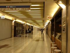 エスカ地下街は、柄行時間が過ぎ、店が閉まり、閑散としていた。先ずは、矢場とん 名古屋駅エスカ店に向かうも、この時間に15人並んでいる。諦める。
