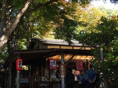 奥高尾 細田屋

紅葉の下で富士山を眺めながら蕎麦が頂ける茶屋なれど、今年は色づくのが遅いな。
11月下旬～12月初旬くらいがベストかと。