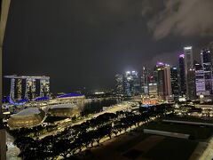 １日を終え、部屋へ。
美しく光り輝くシンガポールの夜。おやすみなさい。


3日目に続きます。
