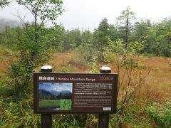 田代湿原

雲に覆われていなければ湿原越しに穂高連峰の
絶景が望めたのね、、（涙）
