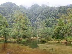 田代池

思わずワァ～と声を上げてしまったほど綺麗な池です。
六百山や霞沢岳の山並みを背景に雨でもそれと分かる
透明度の高い水面でした。
