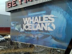 レイキャビクではホエール（クジラ）ウォッチイングができるのです。ここは短時間でクジラの生態を体験できる実物大模型の展示館（有料）でした。