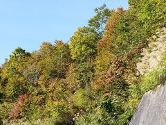 山々は紅葉が始まっていました。
狭い国道でしたが、峠道は白川郷まで対向車も、
追従する車もなく、快適なドライブでした。

天羽峠ドライブの動画はこちら、
https://youtu.be/nWWsub2plNE
