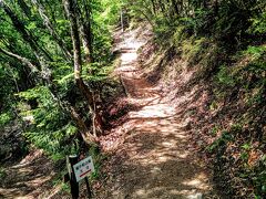 上の駐車場から先はこのような山道を登っていく。ここもかなりしんどい。ここから先も山道なので１５分くらいかかる