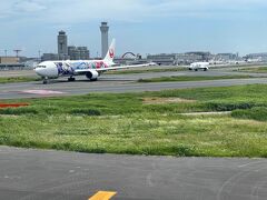 順番待ちしている飛行機の列にディズニーラッピングのがいましたー！