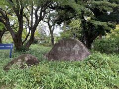 飛鳥山公園