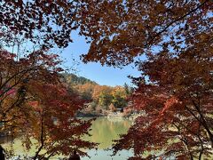 さるぼぼバスで一人たった１００円でやってきました、飛騨の里。
古民家テーマパークで興味はないのですけど、直前にこちらの紅葉が見ごろだと知り、やってきました～
