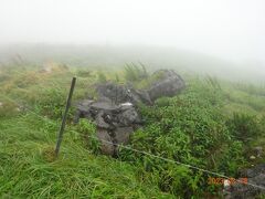 カルスト台地。草原の中に岩がゴロゴロしている片鱗だけは見えた。