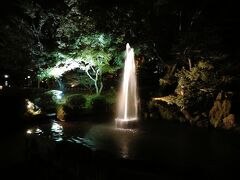 隣にある『兼六園』へ。ライトアップしてる兼六園は初めて。