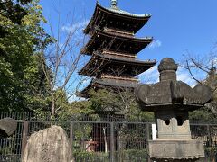 ぼたん苑を後にすると寛永寺の五重塔が見えました。