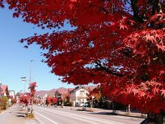 軽井沢駅から雲場池までは紅葉を楽しみながら散策します
軽井沢駅から歩いて20分くらいです